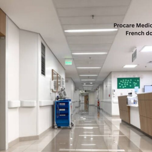 Procare Medical Center: Accessing French-Speaking Doctors in Cambodia